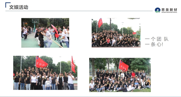 广东思泉新材料股份有限公司图片8