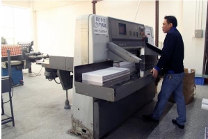 腾达印刷(鹤山)有限公司图片5