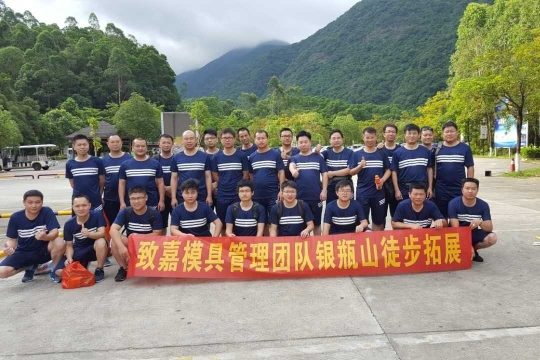 东莞致嘉金属科技有限公司图片3