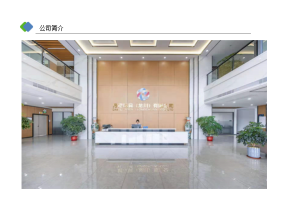 丹尼玩具（龙川）有限公司图片2