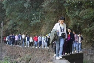 东莞市南宏电子科技有限公司图片5